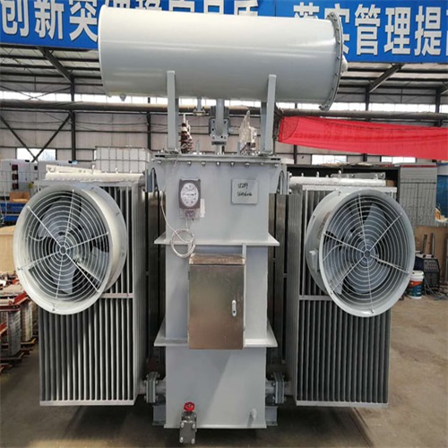 广元S22-8000KVA电力变压器